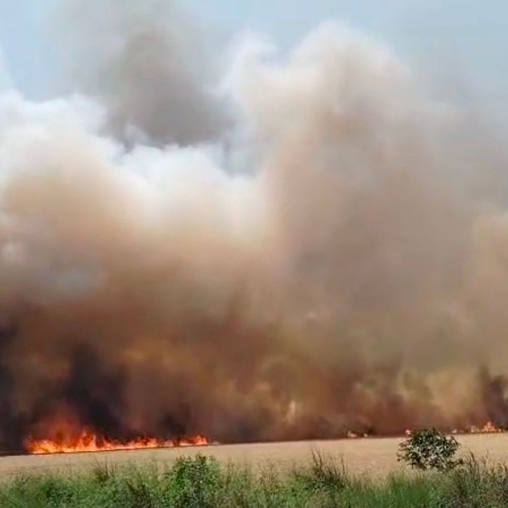 बलिया में गेहूं की खड़ी फसल में लगी आग:200 किसानों की 150 बीघा फसल राख, ग्रामीणों ने 3 घंटे में पाया काबू