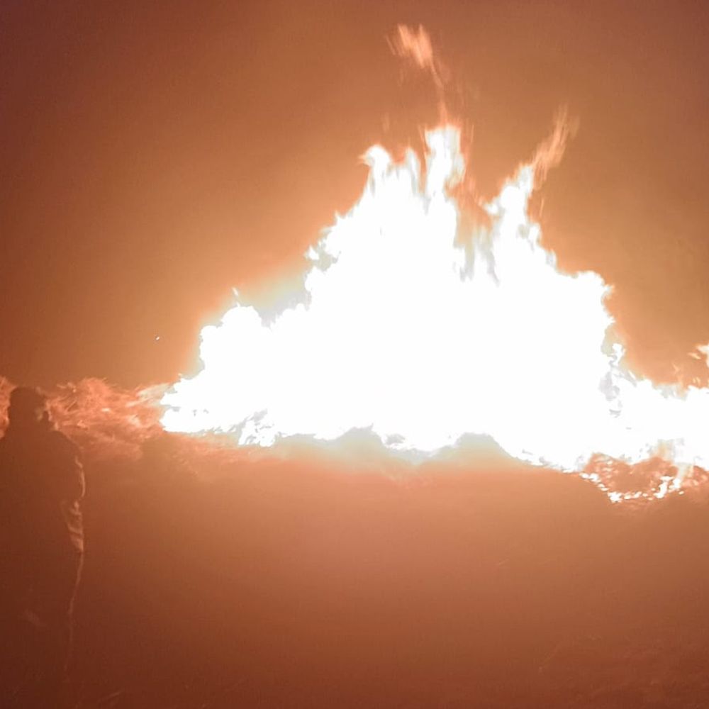 खेत में लगी आग से पांच बीघा फसल राख:हमीरपुर में किसान ने जानबूझकर आग लगाने का आरोप लगाया, जांच की मांग