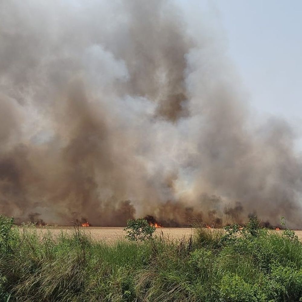 बलिया में 100 एकड़ गेहूं की फसल जलकर राख:तीन गांव के 200 से अधिक किसानों की जला उपज, देरी से पहुंचने पर फायर ब्रिगेड पर नाराजगी