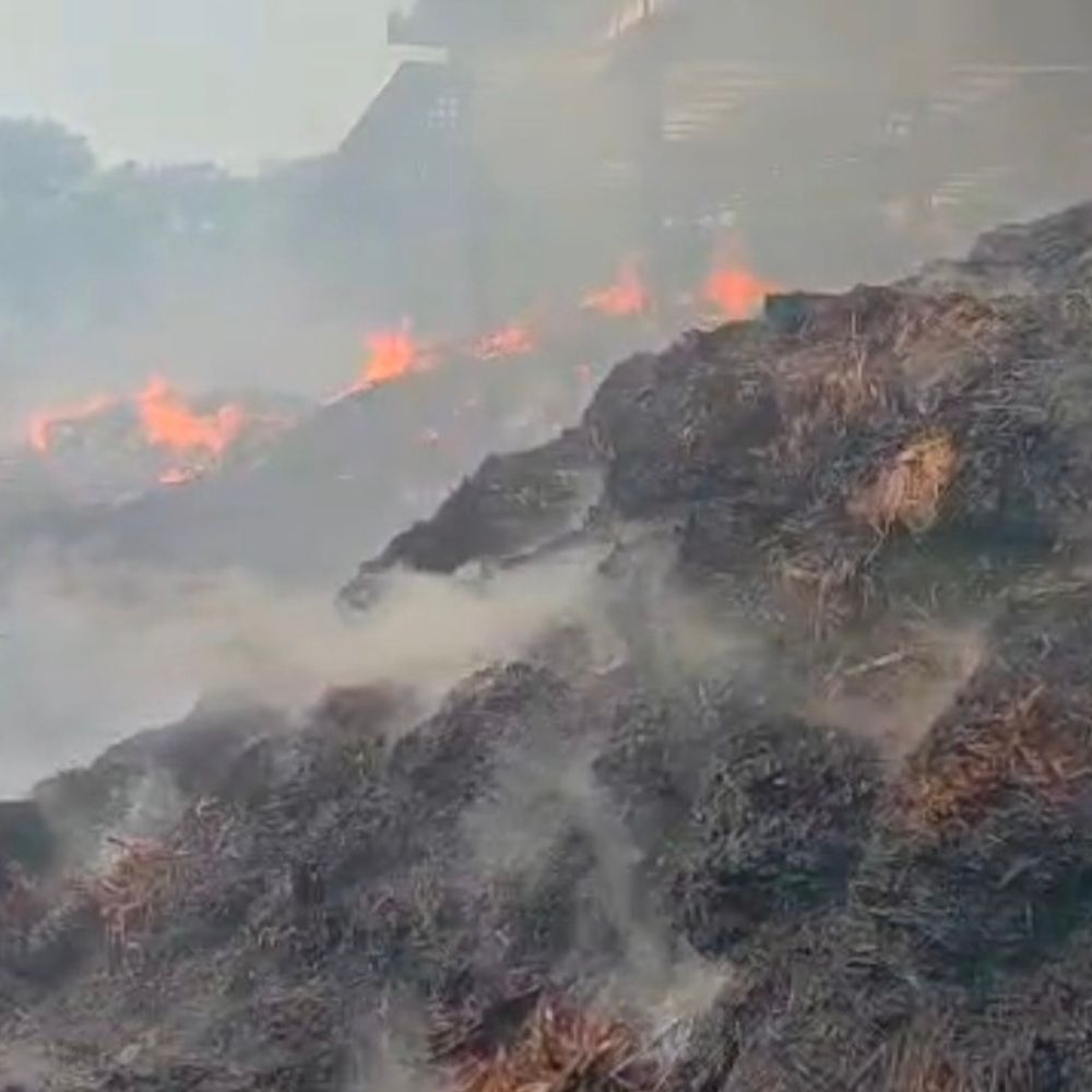 सहारनपुर में मधुसूदन डेयरी प्लांट के बायलर में लगी आग:कर्मचारियों को सुरक्षित निकाला गया, फायर ब्रिगेड मौके पर