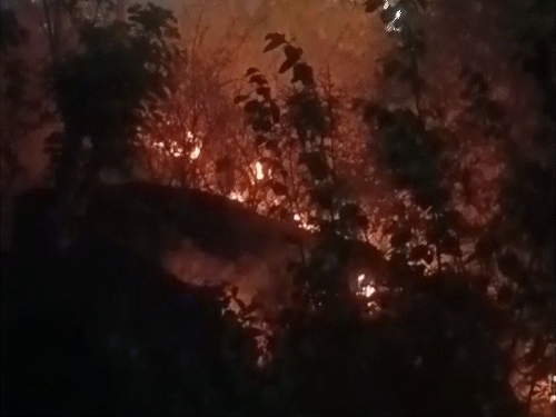 गयाजी के नागकुट पहाड़ी पर आग लगी:बस्ती पर मंडराया खतरा; आग पर काबू पाने की कोशिश जारी, तेज हवा बनी चुनौती