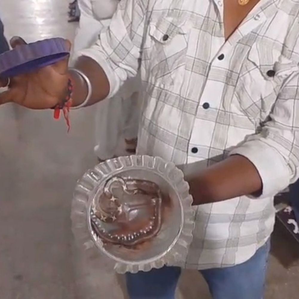 घर लौट रहे जवान को सांप ने काटा,अस्पताल लेकर पहुंचा:शिवहर में होमगार्ड की सूझबूझ से टली अनहोनी, पैर में लिपटा