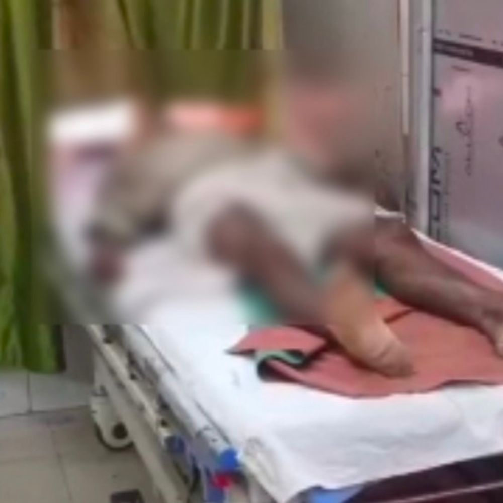 ललितपुर में मधुमक्खियों के हमले से चरवाहे की मौत:बेहोश होने पर परिजन अस्पताल ले गए, डॉक्टरों ने मृत घोषित किया