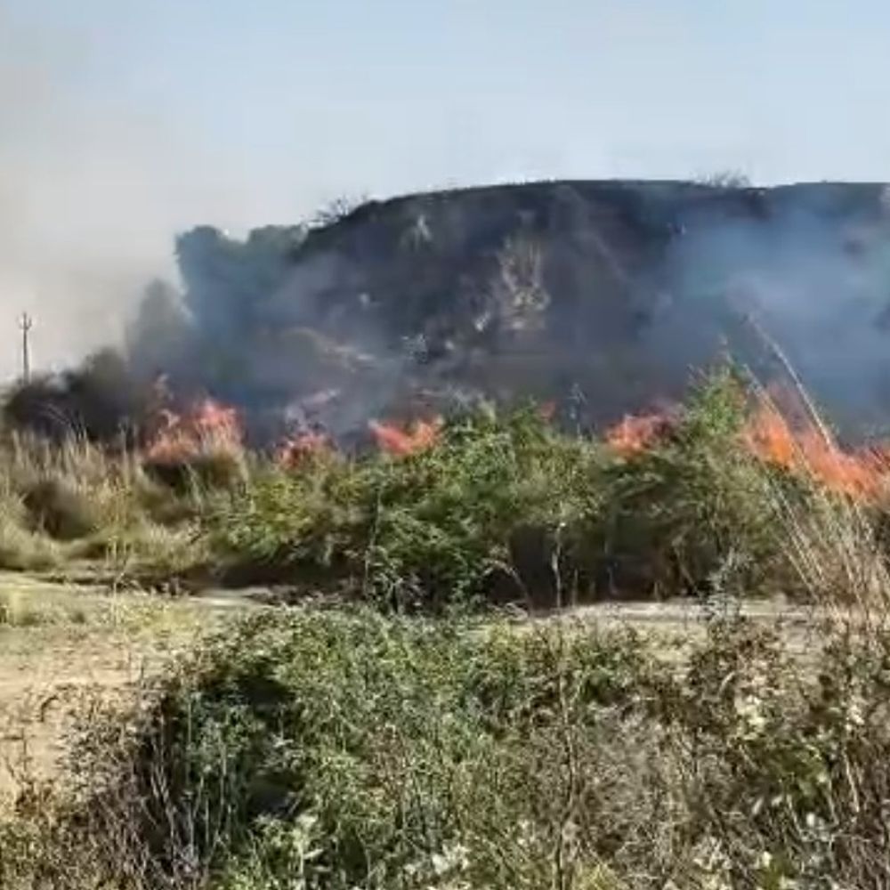 फिरोजाबाद में यमुना किनारे जंगल में लगी आग:एक किमी क्षेत्र प्रभावित, दमकल ने कड़ी मशक्कत के बाद पाया काबू