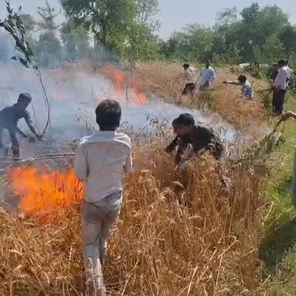 संभल में नौ बीघा गेहूं की फसल जलकर राख, VIDEO:बच्चों के खेलने के दौरान आग लगी, 3 लाख का नुकसान की आशंका