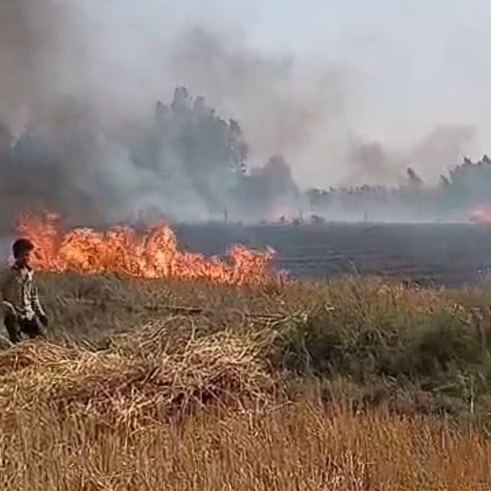 सीतापुर में भीषण आग से 30 बीघा फसल जलकर खाक:ग्रामीणों ने खेत जोतकर आग पर पाया काबू, तेज हवाओं के साथ विकराल हुई आग