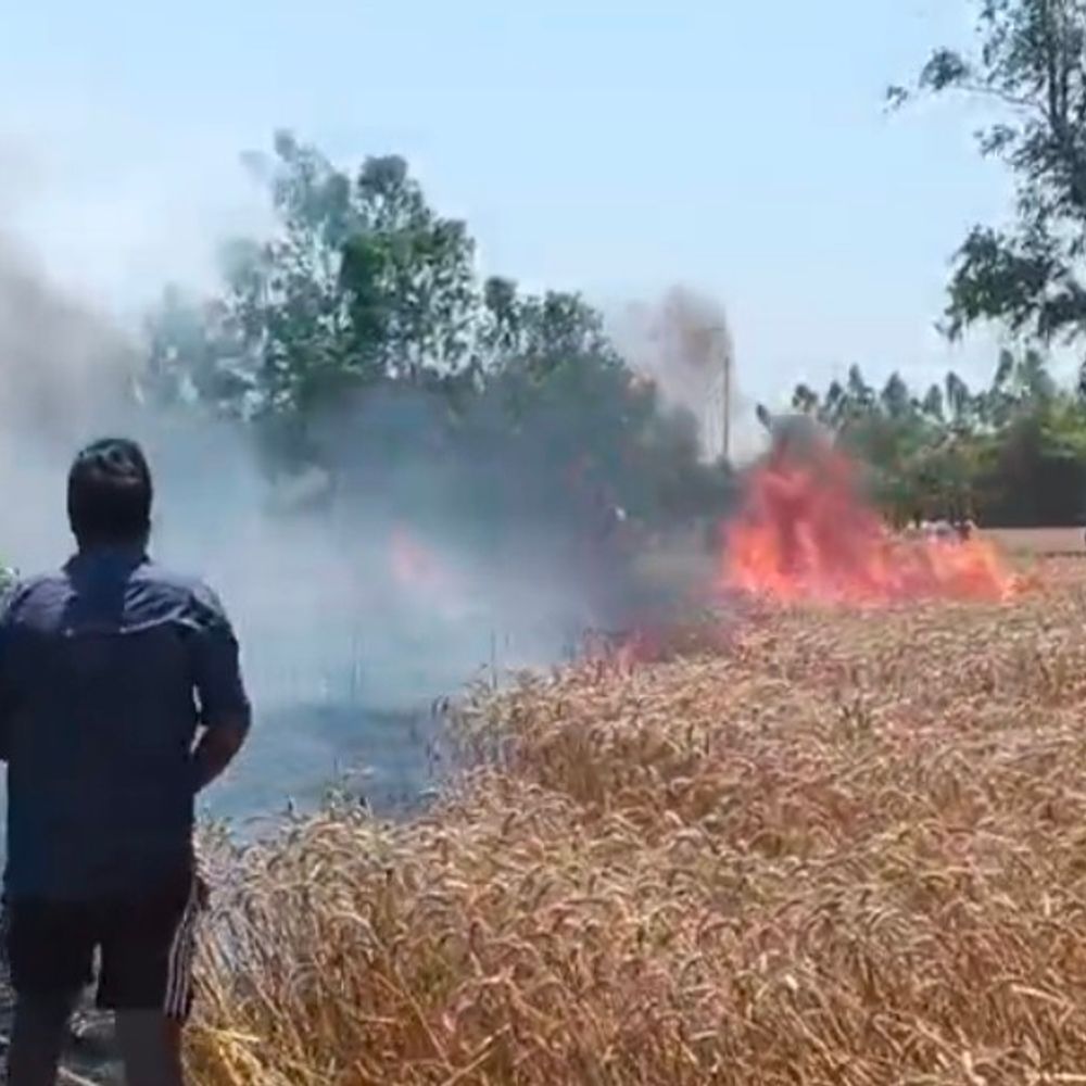 अमेठी में 10 बीघा गेहूं की फसल राख:ग्रामीणों ने कड़ी मशक्कत कर आग पर पाया काबू