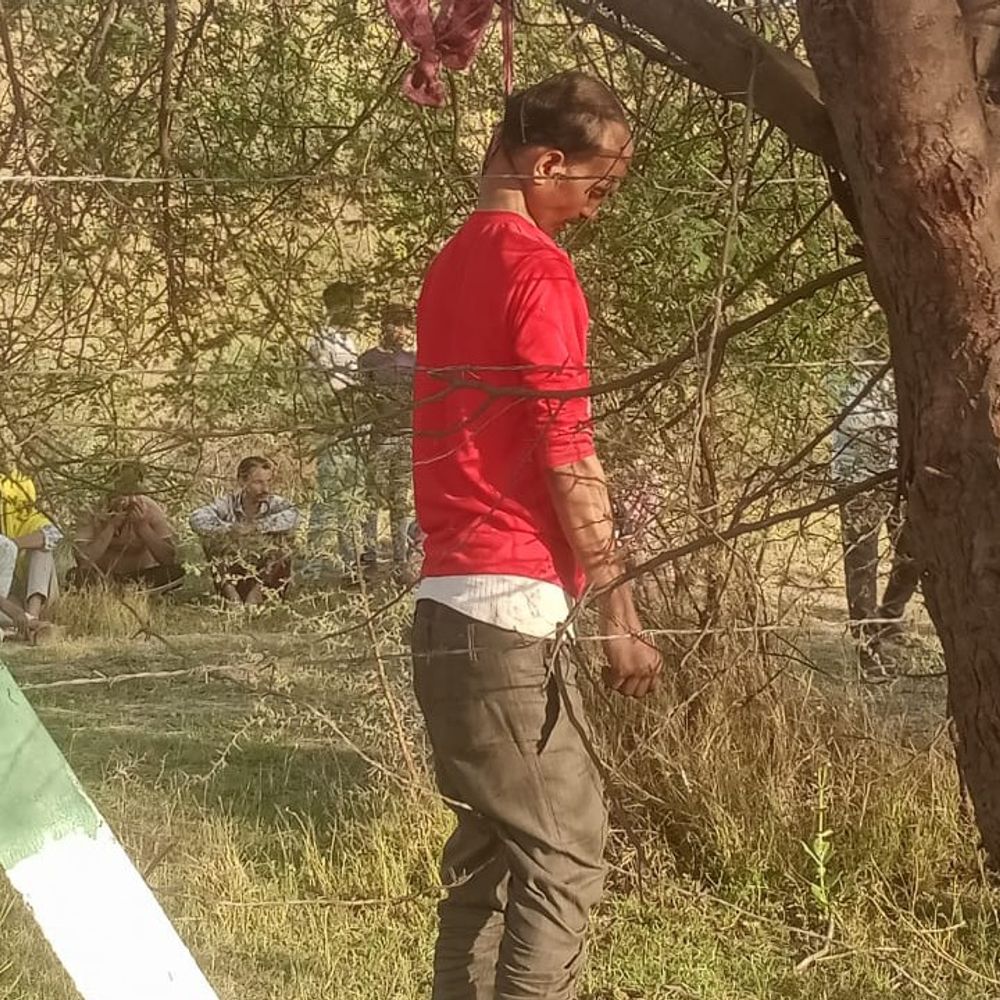 बुंदेलखंड एक्सप्रेस-वे किनारे युवक का शव पेड़ से लटका मिला:पारिवारिक विवाद के बाद आत्महत्या की आशंका, पुलिस कर रही मामले की जांच