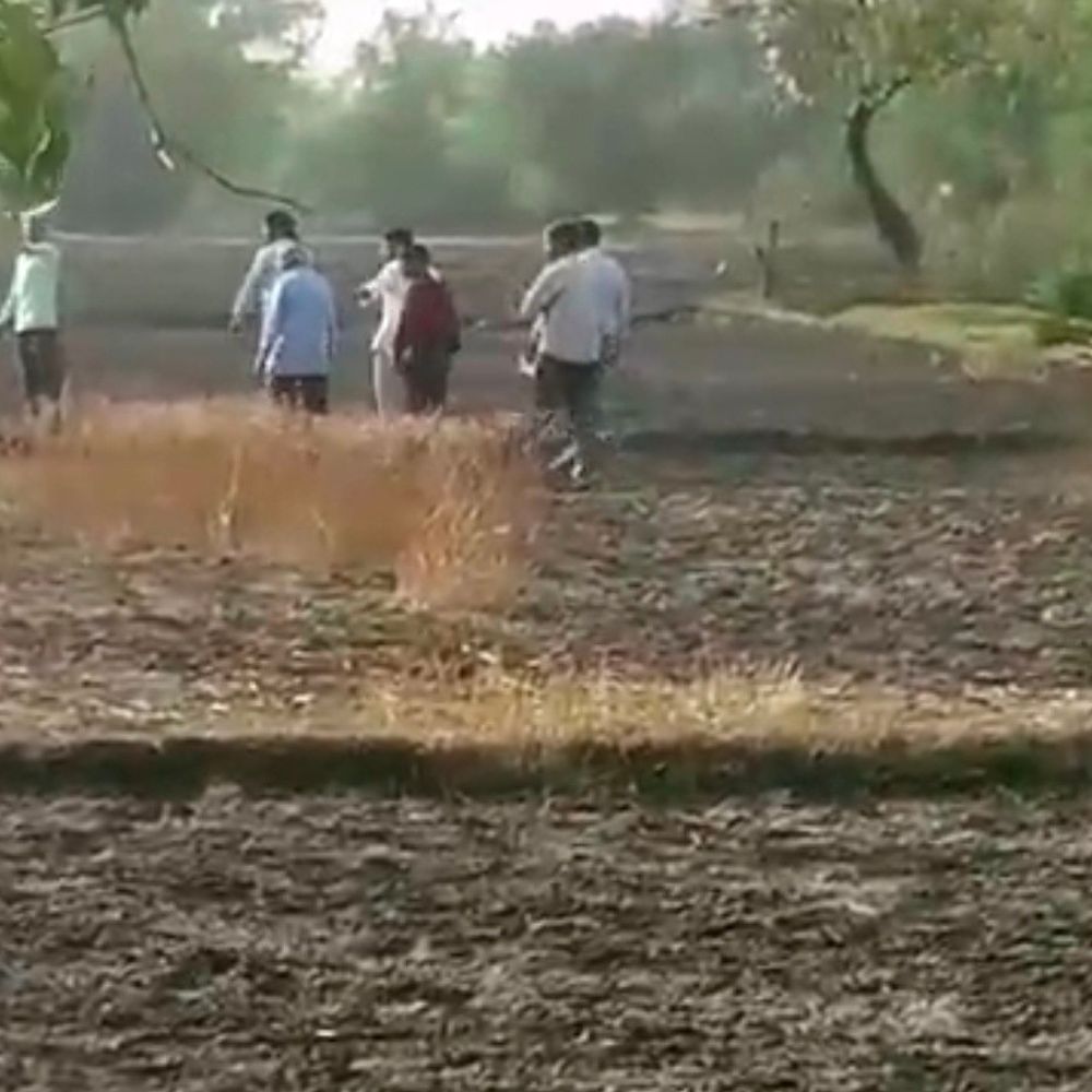 रायबरेली में 16 बीघे गेहूं की फसल जलकर राख:संदिग्ध परिस्थितियों में लगी आग, दमकल ने काबू पाया