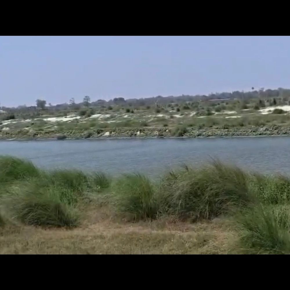 हरदोई में सीप तस्कर पकड़े, पुलिस पर छोड़ने का आरोप:लोनार पुलिस की कार्यशैली पर सवाल, उच्चाधिकारियों ने जांच के आदेश दिए