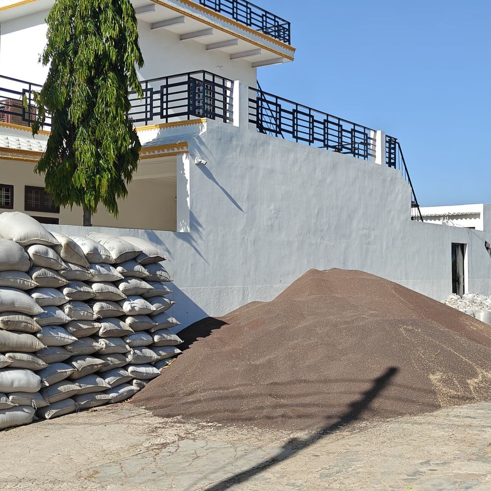 गुरुग्राम में अवैध सरसों का भंडारण पकड़ा गया:  बिना अनुमति के रखी थी 641 क्विंटल, ₹42 हजार का लगाया जुर्माना – Farrukh Nagar News