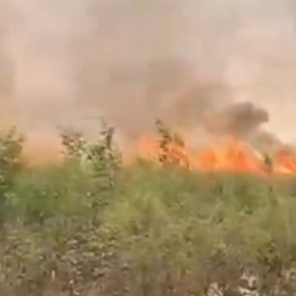 बस्ती में 19 बीघा गेहूं की फसल जली:आग बुझाते युवक झुलसा, ट्रैक्टर में भी लगी आग; फायर ब्रिगेड फंसी