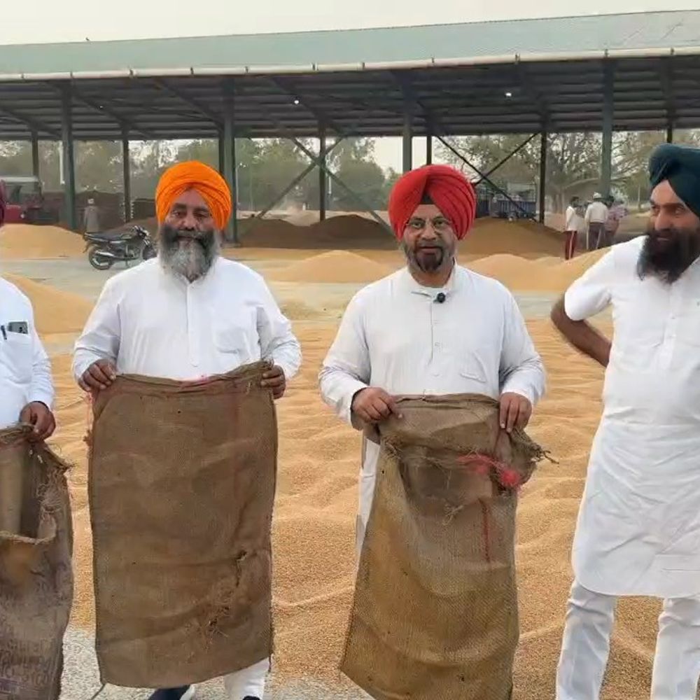 फतेहगढ़ साहिब के मंडियों में खराब बारदाना मिला:  किसानों-आढ़तियों की चिंता बढ़ी, जताई नाराजगी, पूर्व MLA नागरा ने जांच की मांग की – Khanna News