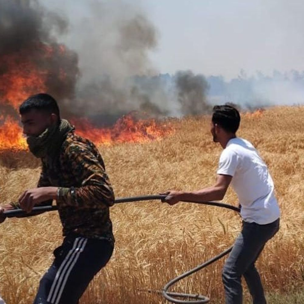 अंबेडकरनगर में गेहूं के खेत में लगी आग:10 बीघा फसल जलकर राख, किसानों ने की मुआवजे की मांग