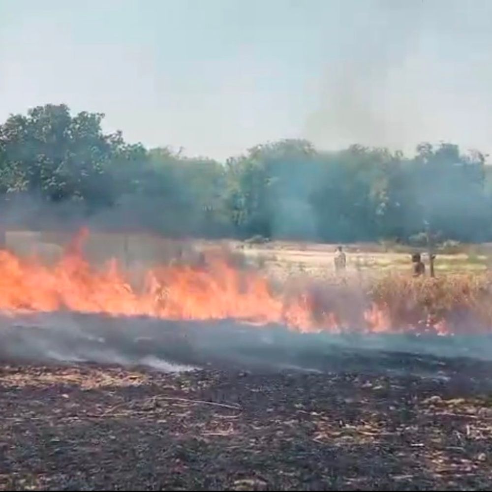शॉर्ट सर्किट से 25 बीघा गेहूं की फसल जली:रायबरेली के खेतों में लगी आग, फायर ब्रिगेड ने पाया काबू