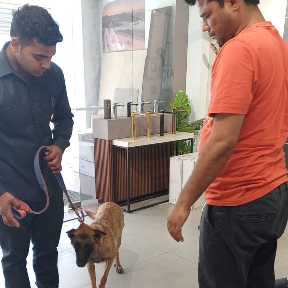 लखनऊ में सेनेटरी शोरूम व सुपर मार्ट में चोरी:छत के रास्ते घुसे चोरों ने नगदी व कीमती सामान पार किया, भागने के दौरान एक गड्डी गिरा दी