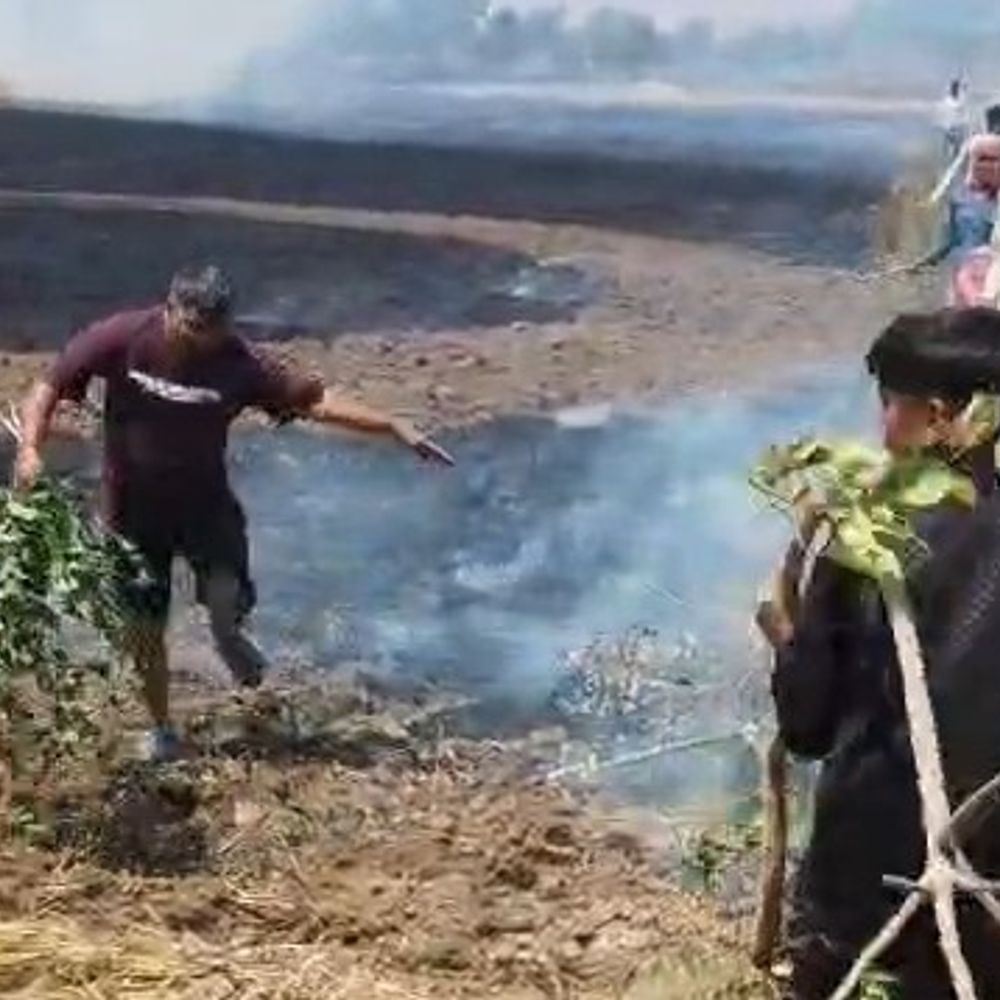 मथुरा के बड़ौता गांव में गेहूं की फसल जली:किसान देशराज को लाखों का नुकसान, दमकल देरी से पहुंची