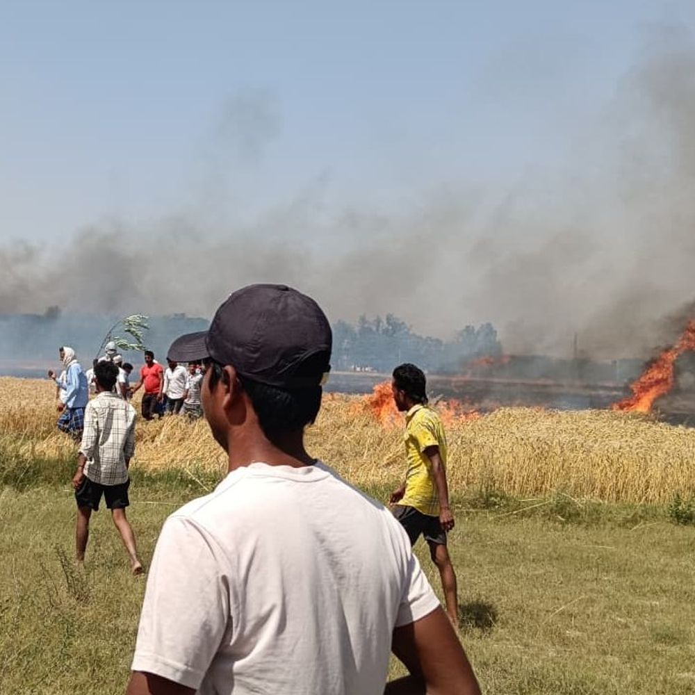 प्रतापगढ़ में गेहूं की फसल जली:हार्वेस्टर से निकली चिंगारी से पांच बीघा फसल राख