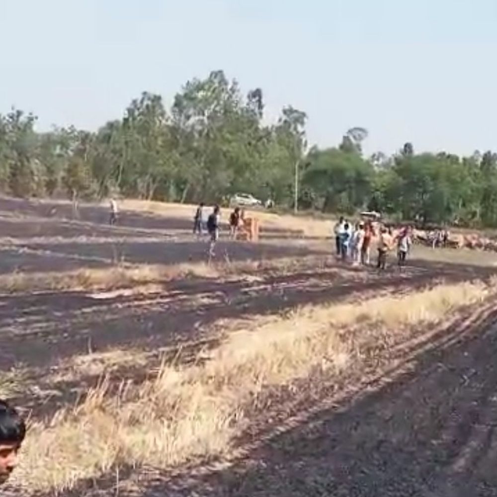 रामपुर के बगड़खा में आग, पांच एकड़ गेहूं फसल राख:खेत में अवशेष जलाने से फैली चिंगारी का आरोप, पुलिस जांच में जुटी