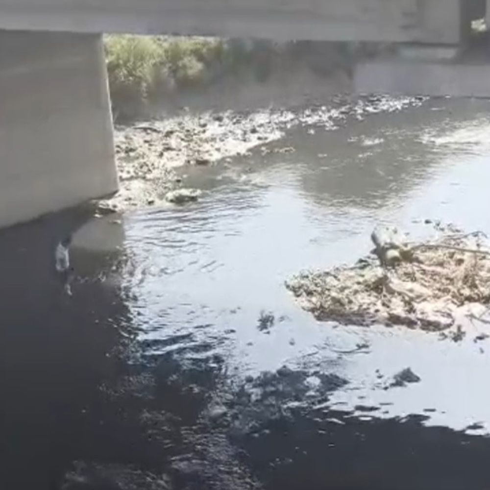 कानपुर की पांडु नदी में मिला लापता व्यक्ति का शव:फॉरेंसिक जांच के बाद पोस्टमार्टम के लिए भेजा गया