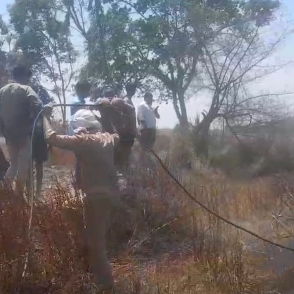 रायबरेली: 5 बीघे से अधिक गेहूं की फसल जलकर राख:संदिग्ध परिस्थितियों में लगी आग, दमकल ने पाया काबू