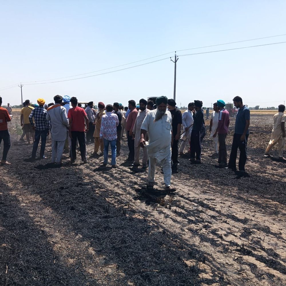 बरनाला में गेहूं के अवशेष में लगी आग:  8 एकड़ में नुकसान, चाय बनाते समय उठी चिंगारी, ग्रामीणों ने पाया काबू – Barnala News
