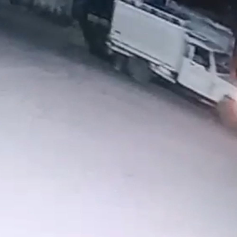 जौनपुर में आधी रात भैंस चोरी, VIDEO:चोर ईंट-पत्थर चलाकर भागे, CCTV में सफेद पिकअप कैद