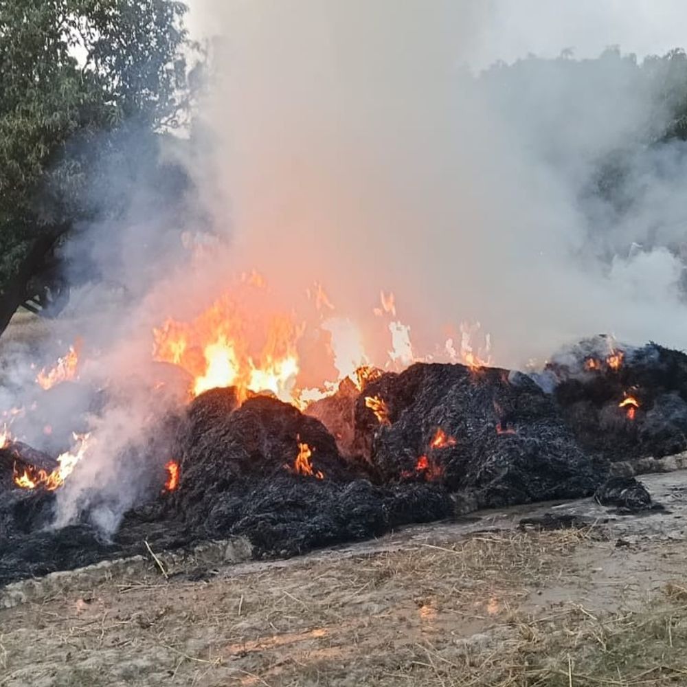 संभल में 5 बीघा गेहूं की फसल राख:किसान को ₹70,000 का नुकसान, दो घंटे में आग पर काबू पाया