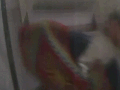 चंडीगढ़ गोगामेडी मदिंर में घुसा चोर:  गला तोड़ा,10 हजार ले गया, CCTV में चेहरा कैद, 3 साल पहले किया पेंट,कैमरा ढकने की कोशिश – Chandigarh News