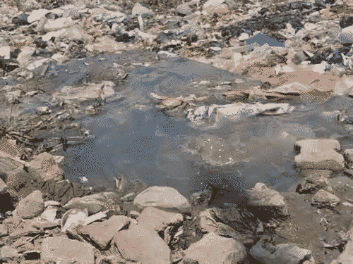 
                 वाराणसी के शैलपुत्री इलाके में 4 साल से सीवर समस्या:मेन लाइन का पानी घरों के बाहर बजबजा रहा, पार्षद बोले- मुझसे कभी शिकायत नहीं की गई 
            