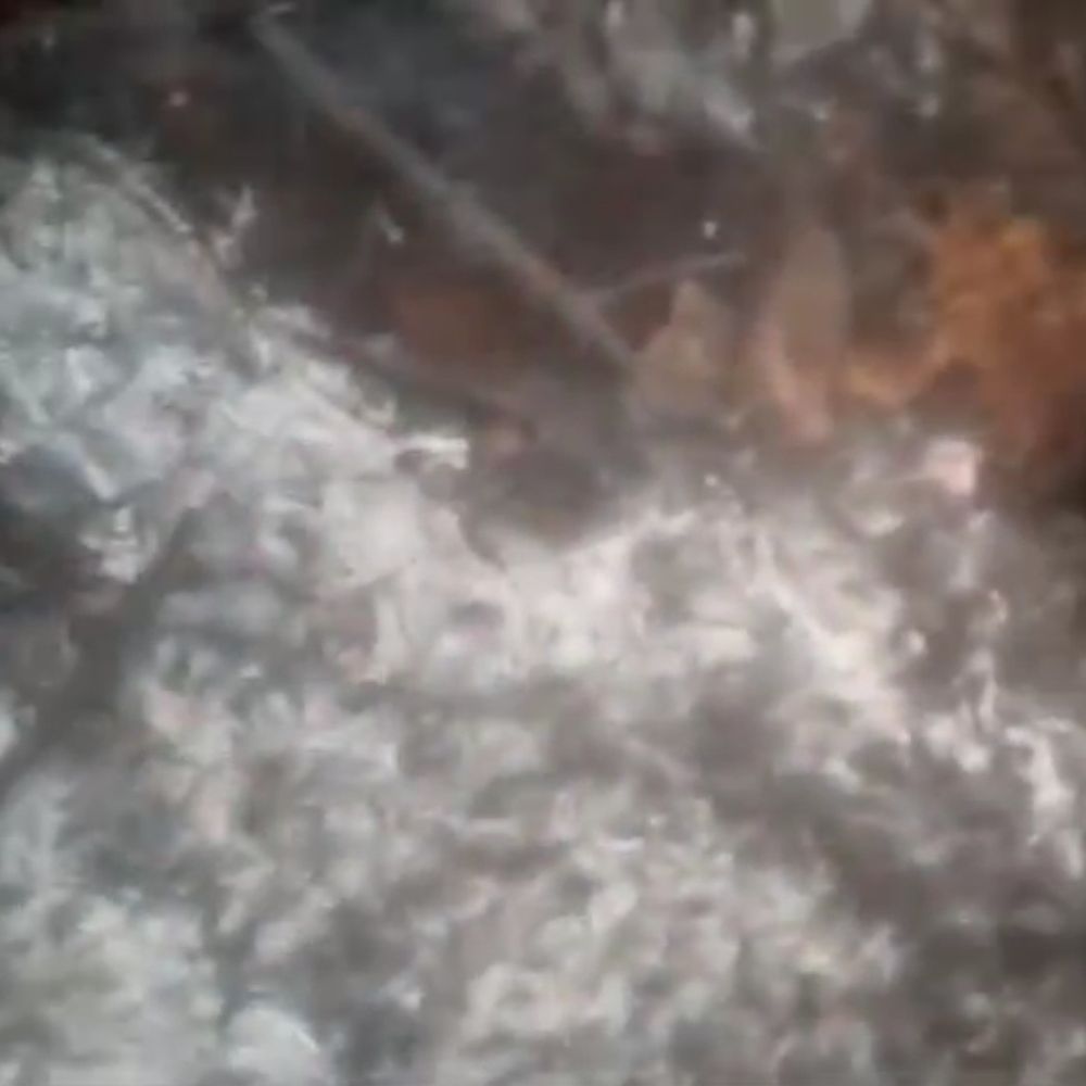 ललितपुर में दादी को खाना खिलाने पर विवाद:चार महिलाएं घायल, चाचा पर मारपीट और घर में आग लगाने का आरोप