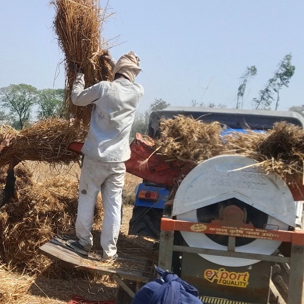 अयोध्या में तापमान 38°C पहुंचा:तेज धूप से जनजीवन प्रभावित, किसानों ने बदला काम का समय, रात में हो रही गेहूं की मड़ाई
