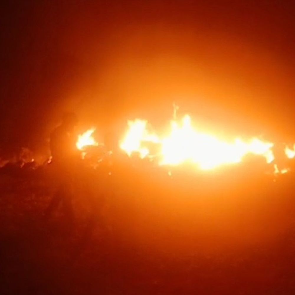 मुरैना में गेहूं की फसल में लगी आग:5 बीघा फसल जली, 3 दमकल ने पाया आग पर काबू