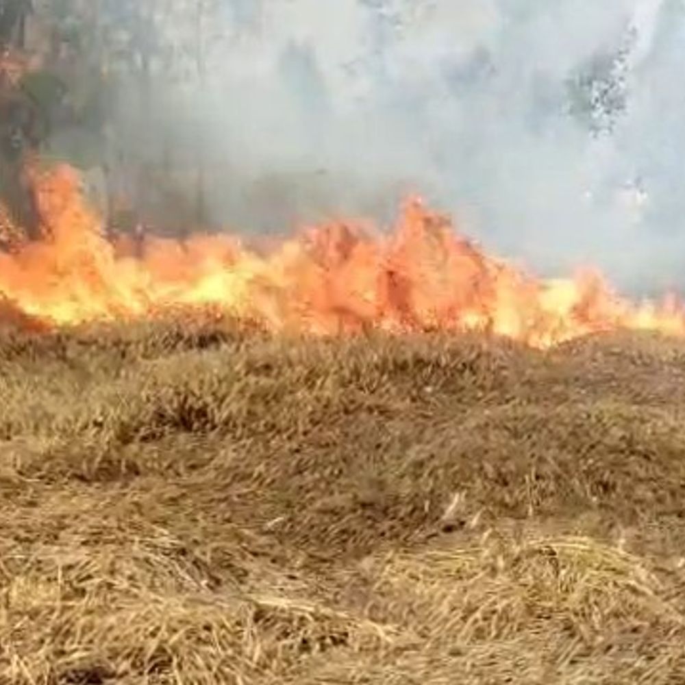 हाईटेंशन लाइन से निकली चिंगारी से 18 बीघा फसल जली:सीतापुर में तीन अलग अलग जगहों पर लगी आग, गेहूं और गन्ने की फसल जलकर खाक