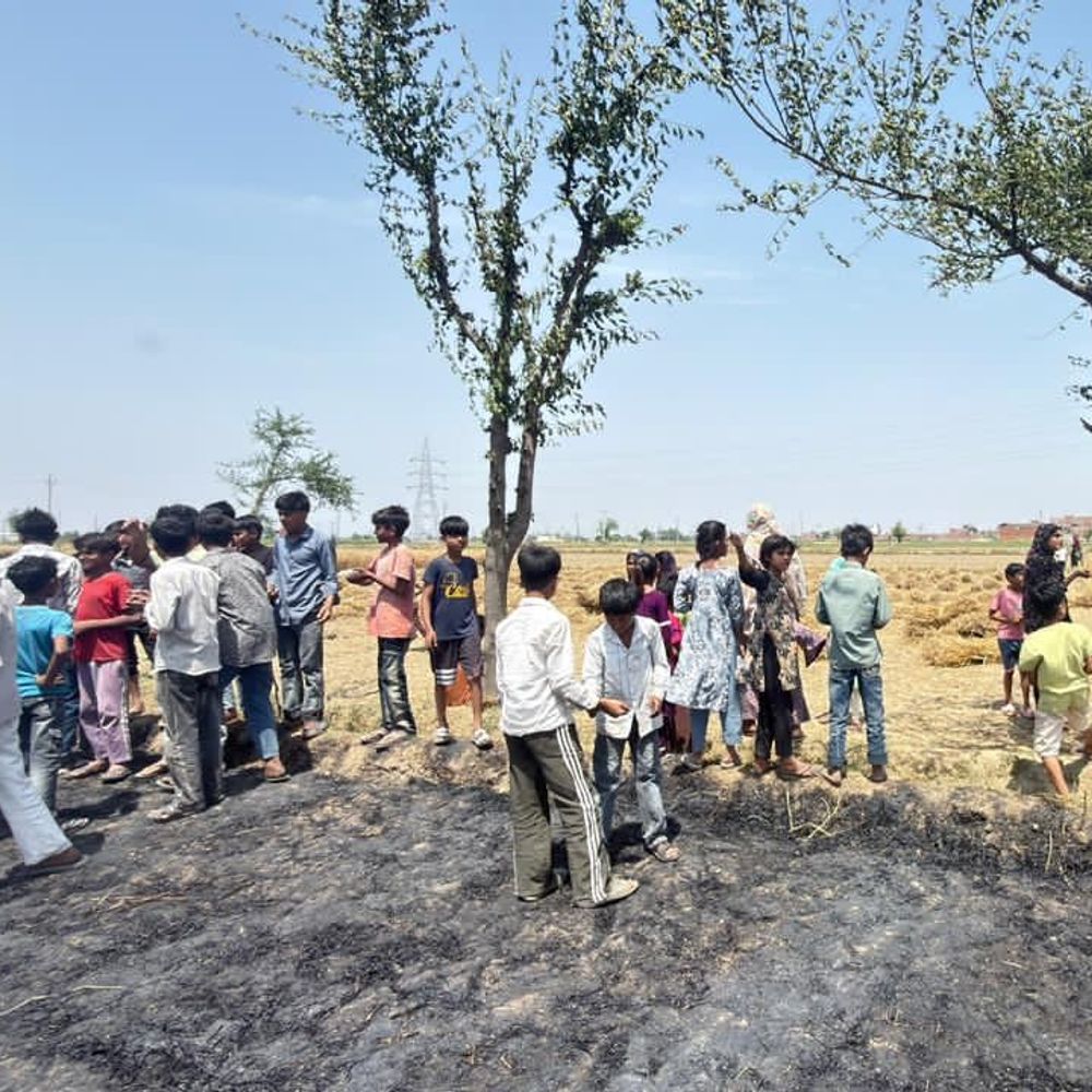 मेरठ में गेहूं की खड़ी फसल में लगी आग:दो किसानों के खेत राख, लाखों का नुकसान