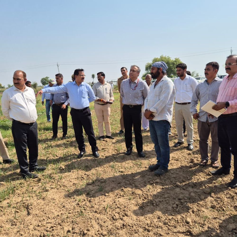 बुंदेलखंड में बागवानी से किसानों की आय बढ़ी:संयुक्त सचिव ने मॉडल फार्म का निरीक्षण कर आधुनिक तकनीक व सहफसल सराही