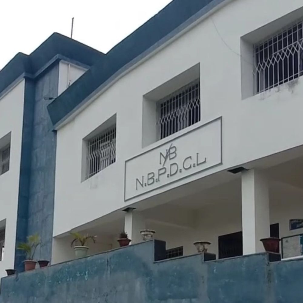 अररिया में 18 अप्रैल तक 5 घंटे पावर कट:सुबह 9से दोपहर 2 बजे तक कटौती, बथनाहा फीडर में बिजली आपूर्ति बाधित