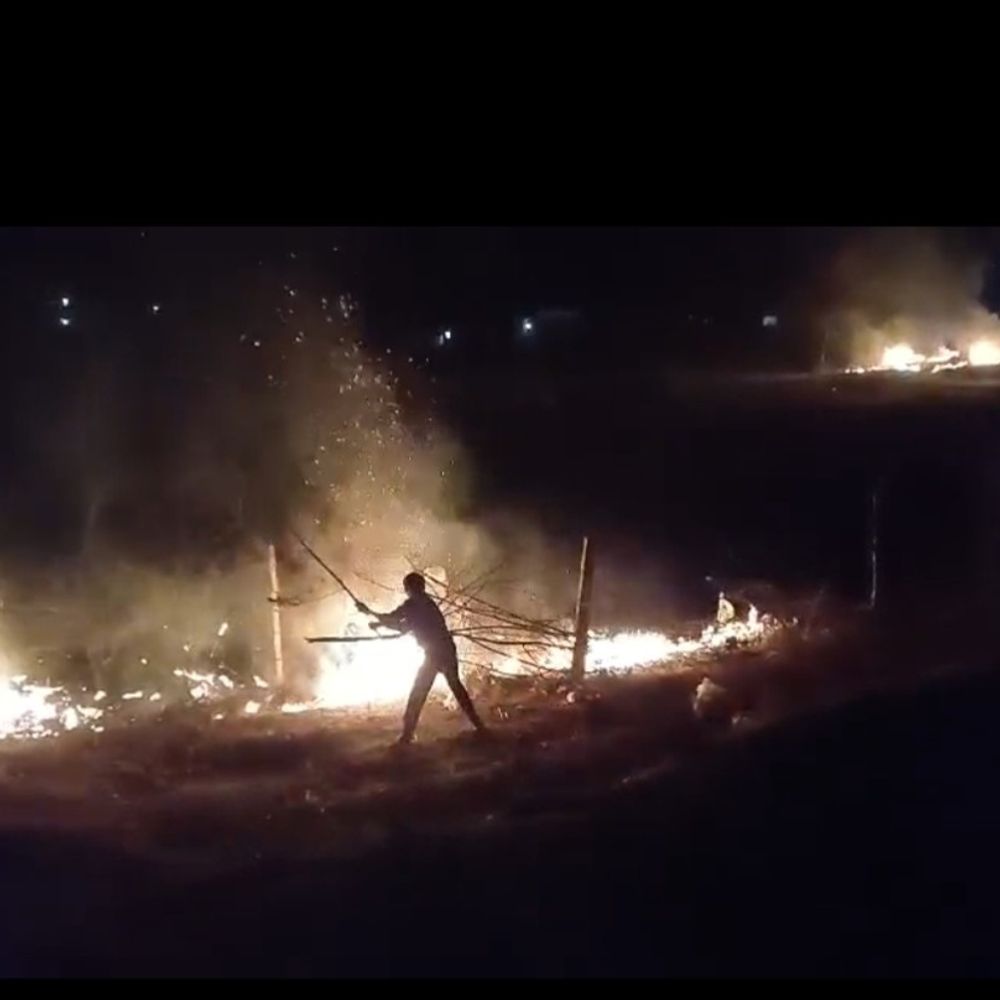 सिवनी के धूमा बाईपास पर नरवाई में लगी आग:दूर से दिखाई दे रही थीं लपटें, स्थानीय लोगों ने मिलकर बुझाई