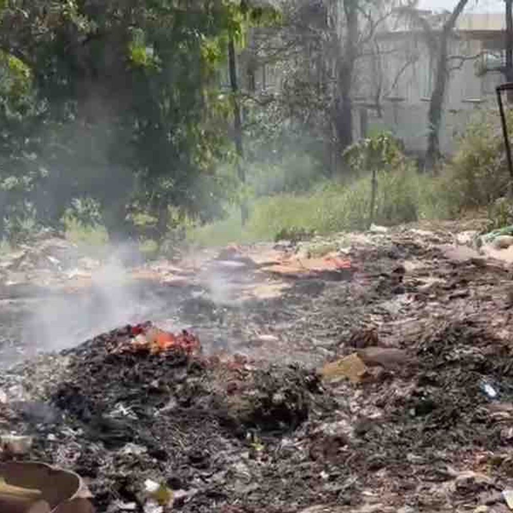 
                 रामपुर में नगर पालिका के लगाए पेड़ आग की भेंट:पहाड़ी गेट के पास अज्ञात लोगों की हरकतों से पर्यावरण संरक्षण पर सवाल 
            