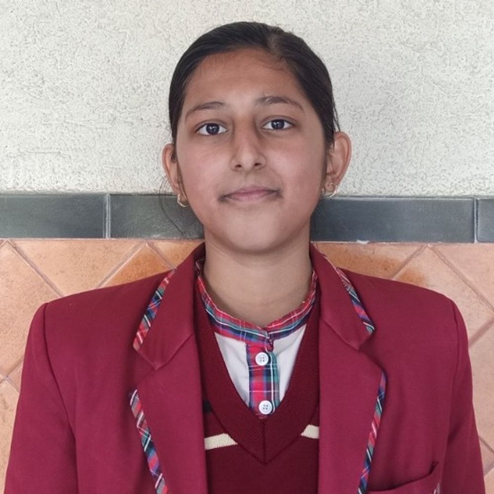 आयुषी वार्ष्णेय 99 प्रतिशत अंकों के साथ जिला टॉपर:चंदौसी में सक्षम और संभल में मानवी फस्ट, प्रबंधक कमेटी और अभिभावकों ने खुशी जताई