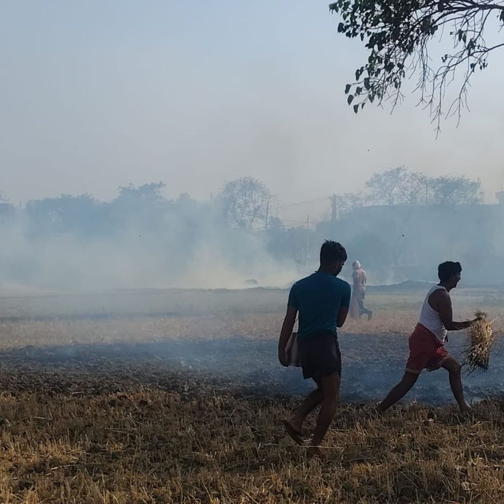 कई जगह आग से फसल जलकर राख