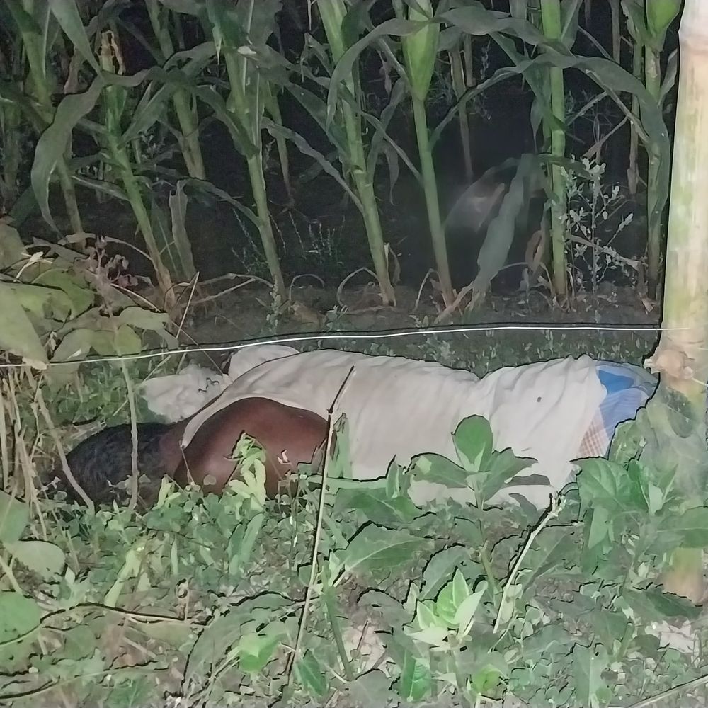 वैशाली में बिजली तार पर मिला किसान का शव:जमीन विवाद में हत्या की आशंका, परिजन बोले-करंट लगने से मौत दिखाने की कोशिश