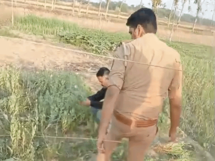 
                 प्रतापगढ़ में अवैध अफीम की खेती का खुलासा:एसओजी टीम ने 12 किलो बरामद किया; सीओ बोले- बाजार में इसकी कीमत लाखों में 
            