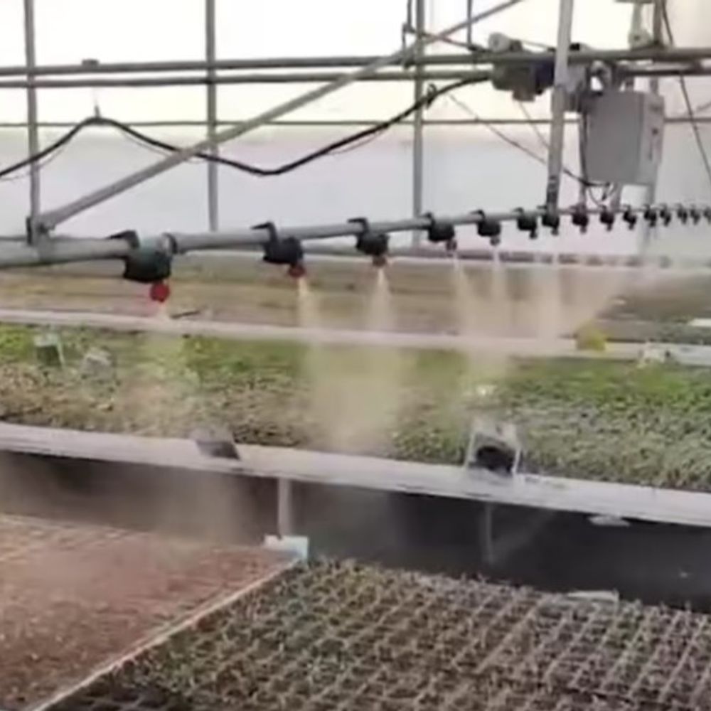 
                 अयोध्या में 1.82 करोड़ की लागत से बनेगी हाईटेक नर्सरी:हरित विकास को मिलेगी नई रफ्तार, तकनीक से तैयार होंगे उच्च गुणवत्ता के पौधे 
            