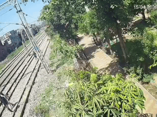 अमृतसर में युवक ने ट्रेन के आगे कूदकर दी जान:  सीसीटीवी में कैद घटना, पुलिस जांच जारी – Amritsar News