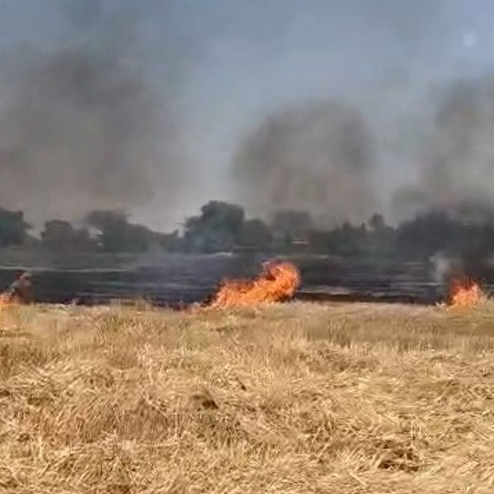 इटावा में गेहूं के अवशेषों में लगी आग, VIDEO:चार किसानों का 15 बीघा फसल जलकर राख