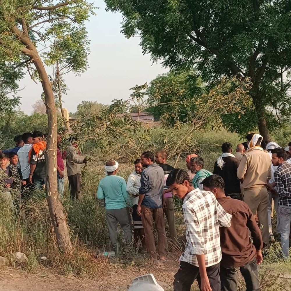 मथुरा में पेड़ पर लटका मिला युवक का शव:परिजनों ने हत्या की आशंका जताई, पुलिस जांच में जुटी