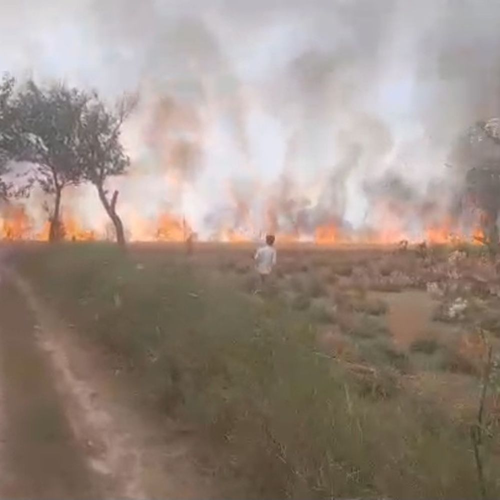 संभल में 12 बीघा गेहूं की फसल जली:किसानों को लाखों का नुकसान, शॉर्ट सर्किट से लगी आग