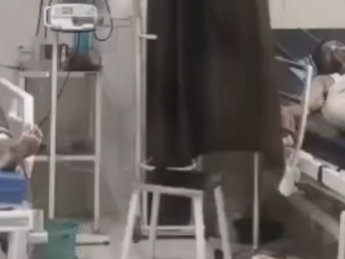 कवर्धा में कारोबारी ने पत्नी-बच्चों संग पिया जहर:सुसाइड नोट में लिखा- व्यापारियों ने 5 करोड़ लिए, वापस नहीं दे रहे, मारने की धमकी दी