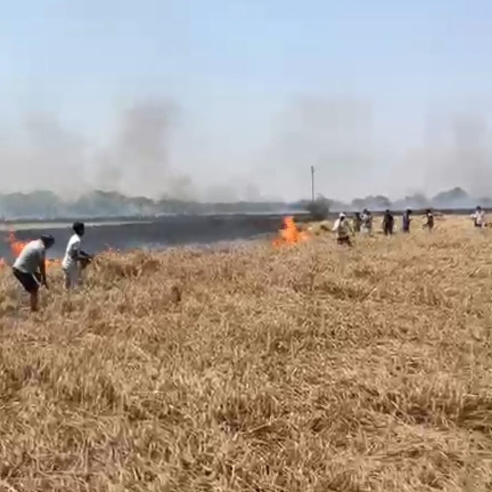 हाइटेंशन लाइन की चिंगारी से गेहूं की फसल तबाह:एटा में 47 बीघा खेत जलकर राख, किसानों को भारी नुकसान